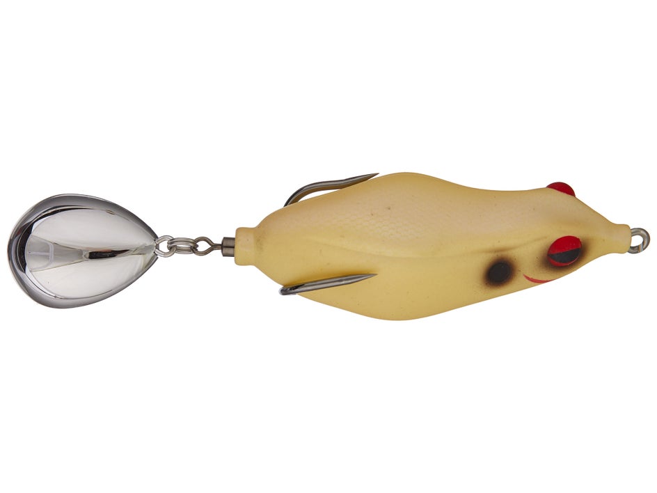 Teckel Maracker Frog