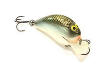 Load image into Gallery viewer, PH Custom Lures Huntin P 3-5 FT
