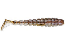 Load image into Gallery viewer, BioSpawn Exo Swim 3.25”
