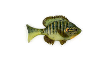 Load image into Gallery viewer, Sudden Impact Suzygill Bluegill

