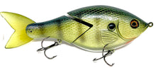 Load image into Gallery viewer, Jerry Rago Glide Gill
