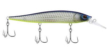 Load image into Gallery viewer, Berkley Stunna  112+1 Jerkbait
