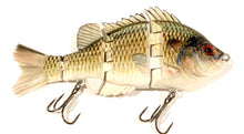 Load image into Gallery viewer, Got&#39;Em Coach Swimbait Real Gill
