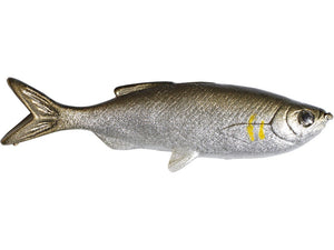 Huddleston Grass Minnow
