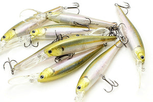 Lucky Craft Pointer 100 DD