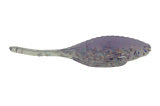 Load image into Gallery viewer, Bass Assassin -  Panfish Assassin TinyShad 1.5”
