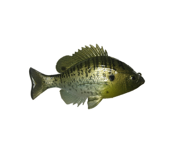 Huddleston Tophook Bluegill