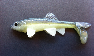 Little Creeper Baits Trash Fish  6"