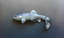 Load image into Gallery viewer, Little Creeper Baits Trash Fish  6&quot;
